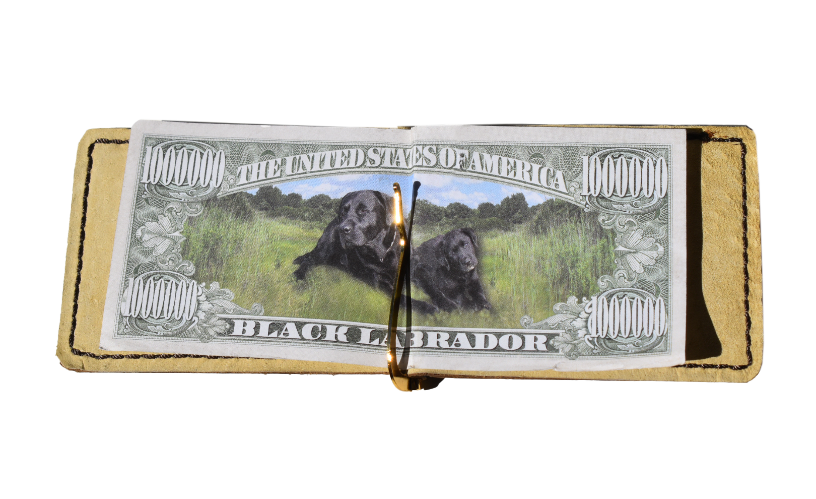 Leather Money Clip and Cardholder